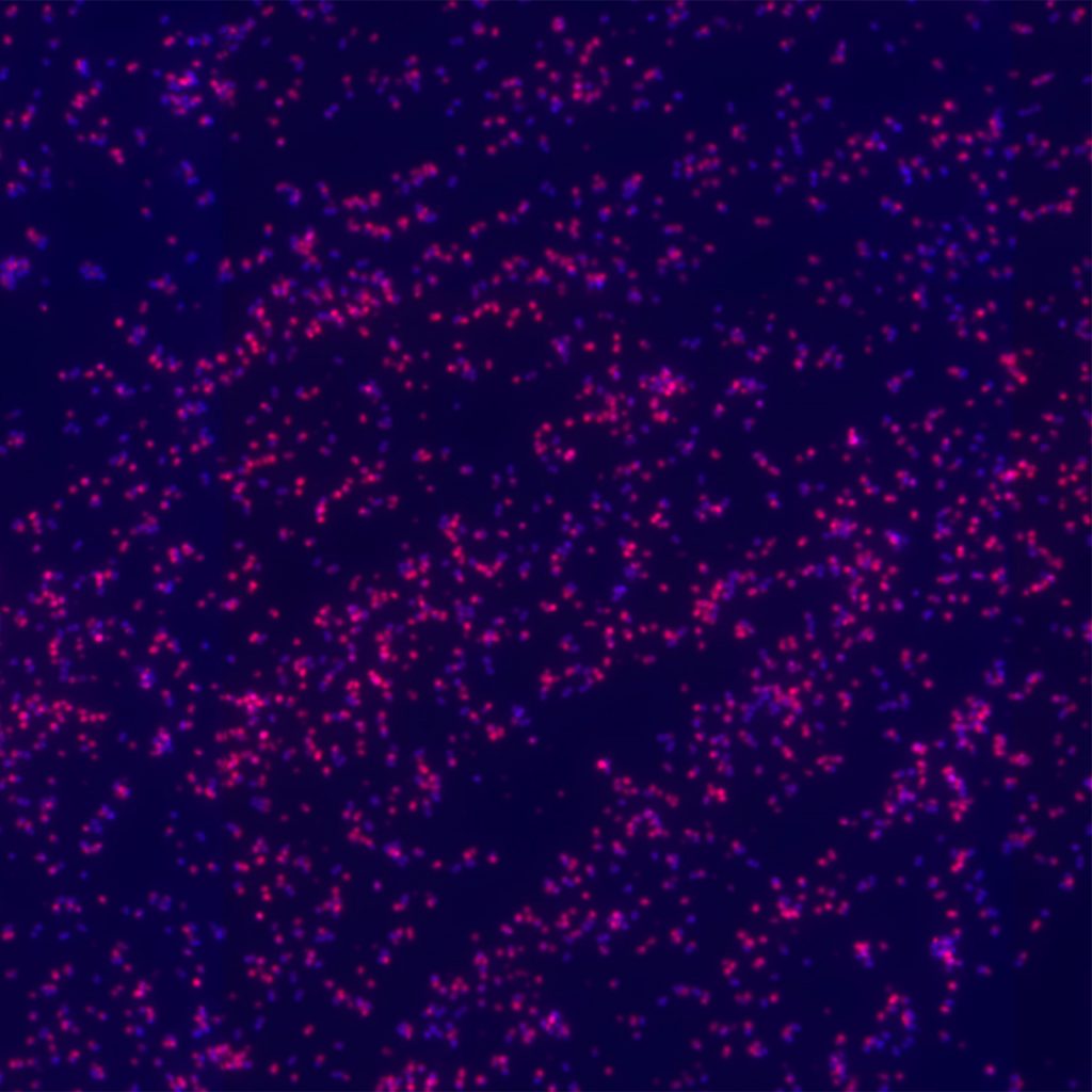 glowing red bacteria in a dark-blue-purple abyss