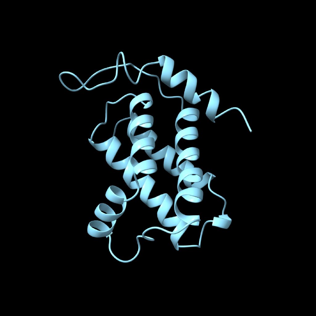 A looping, light blue ribbon shows the structure of the protein after two femtoseconds of folding in the cytoplasm of D. radiodurans